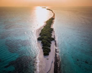 Dhigurah Maldivas tiburón ballena