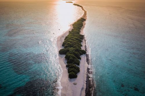 Dhigurah Maldivas tiburón ballena