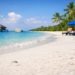 Dengue en Maldivas, mosquito en la playa