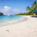 Dengue en Maldivas, mosquito en la playa